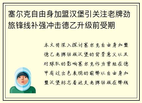 塞尔克自由身加盟汉堡引关注老牌劲旅锋线补强冲击德乙升级前受期 塞尔克自由身加盟汉堡引关注老牌劲旅锋线补强冲击德乙升级前受期
